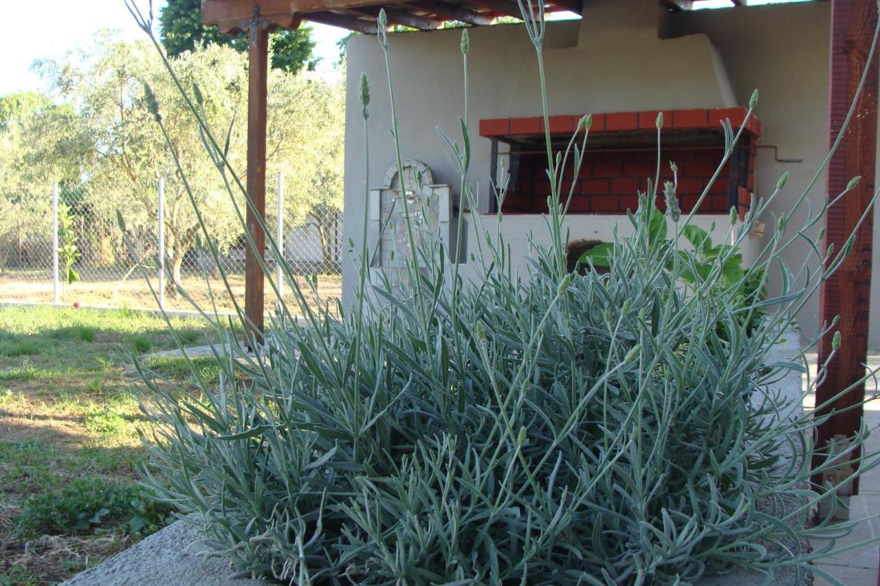 Gorjelina 'S House Vila Volos Exterior foto